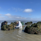 Two people standing waist deep in water that has rocks jutting out of it.